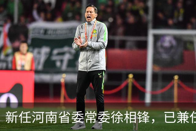 新任河南省委常委徐相锋，已兼任省委统战部部长