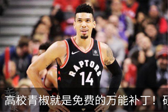 高校青椒就是免费的万能补丁！硕士点申报、师范认证、科研秘书......一样都没有落下，结果等到奖励的时候，什么都没有！！